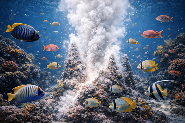 海底から湧き上がる熱泉に群がる魚たち